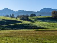 Am Beginn des Seerundweges mit Bergblick